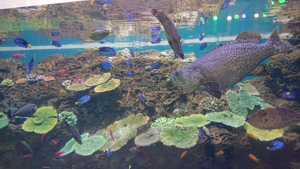 鴨川シーワールド⑤