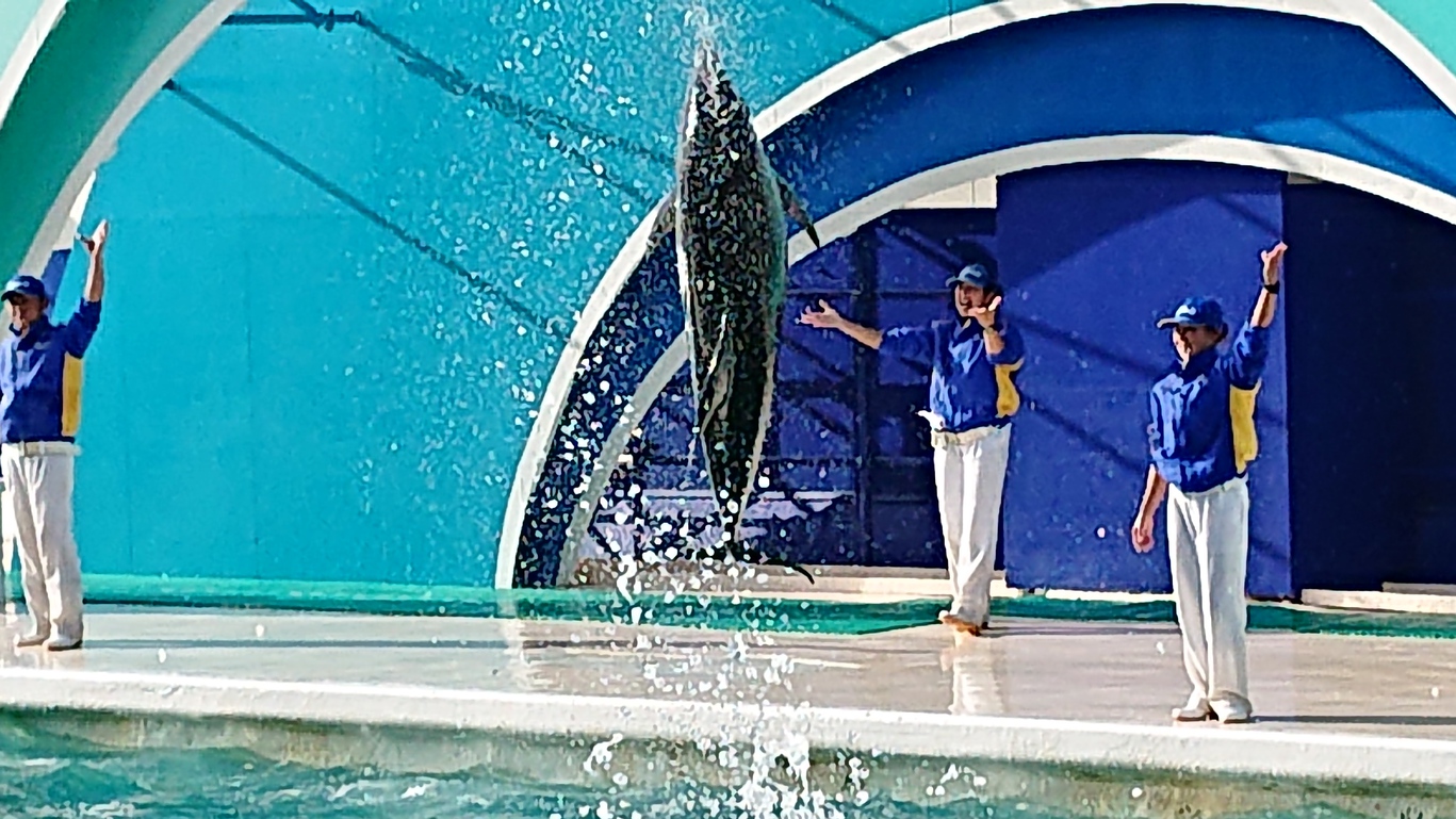 鴨川シーワルド⑥