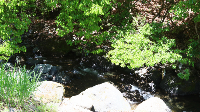 近くには川が流れており、夏には川遊びも！