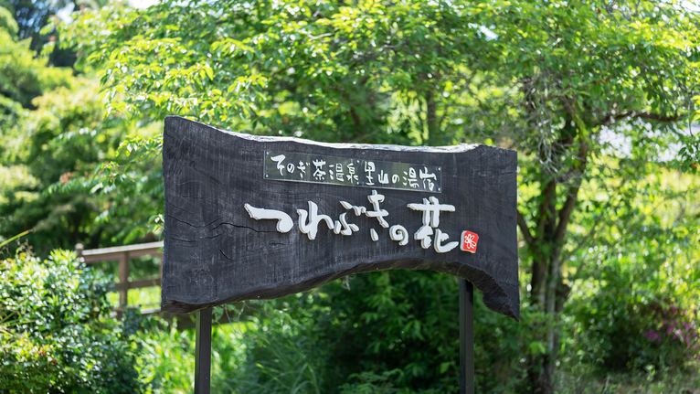 ようこそ「つわぶきの花」へ。森の息吹を感じる場所で、自然の光に包まれてお過ごしください