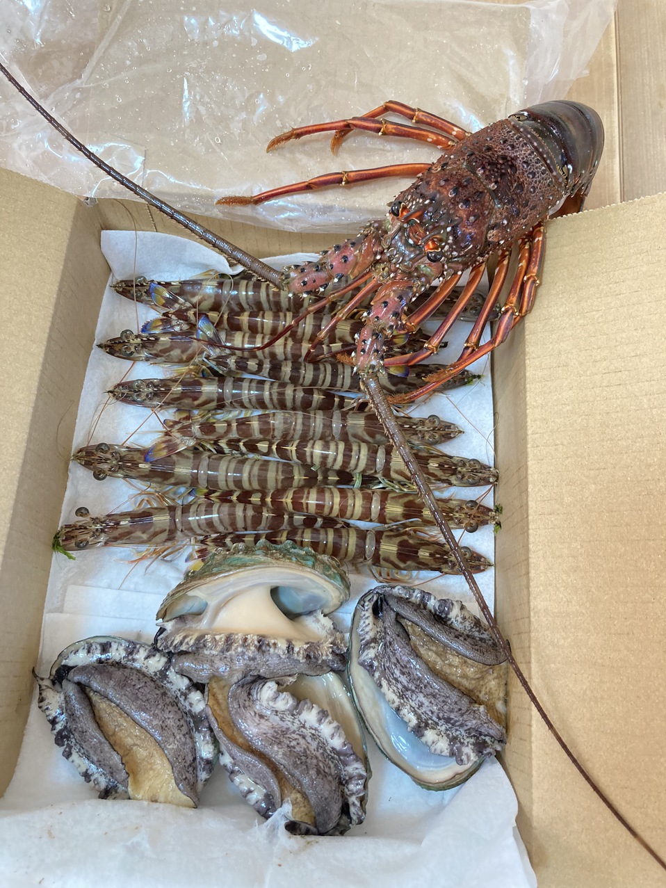 海鮮三昧プラン