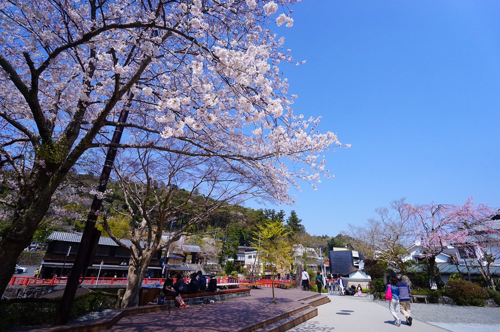 独鈷公園 ｜Tokko Park