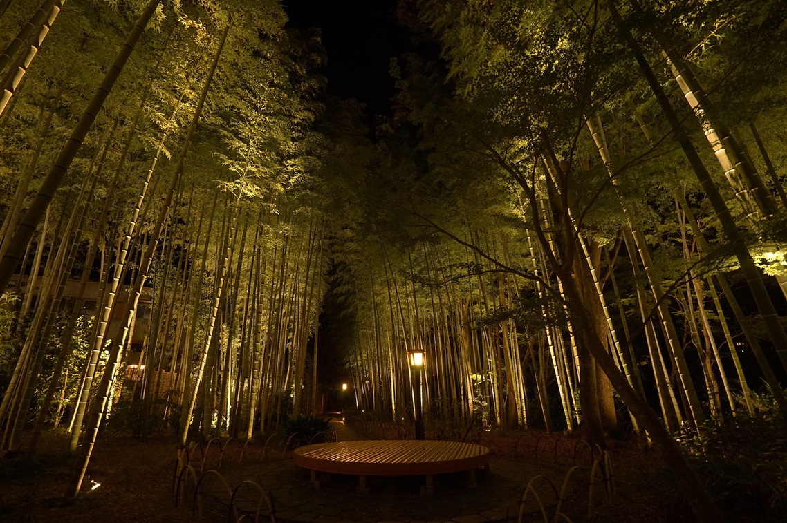 竹林の小径｜Bamboo Forest Pass (night)