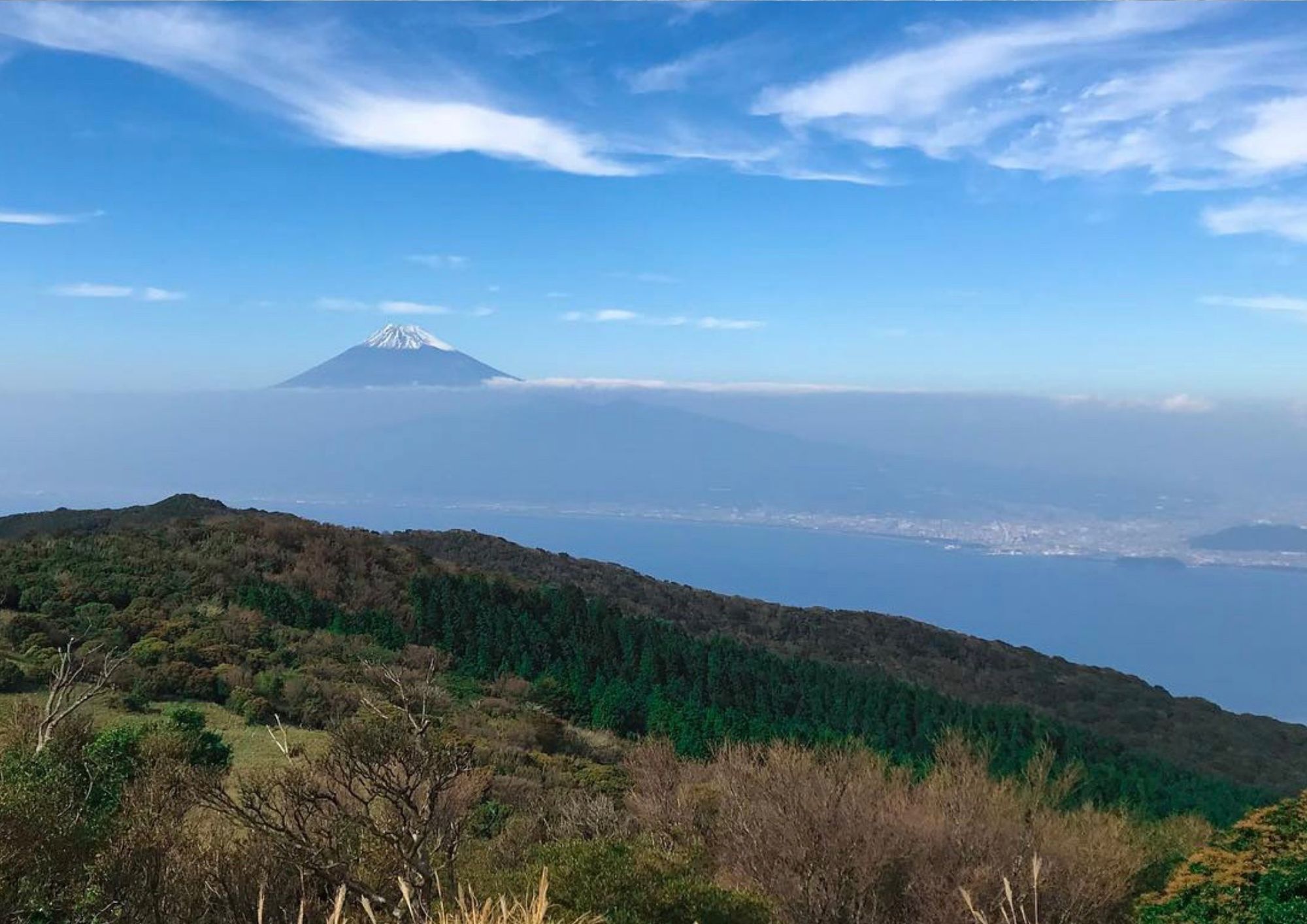 達磨山