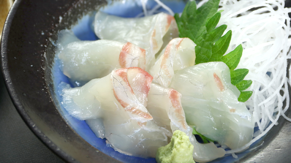 新鮮な刺し身でビジネスで来ても敦賀のお魚を味わっていって下さい＾＾