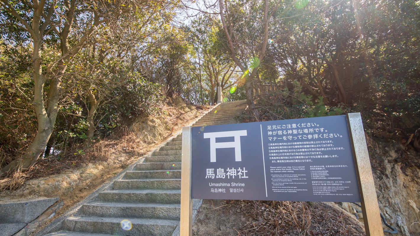 馬島神社への階段。ウズ鼻灯台へもこちらから。