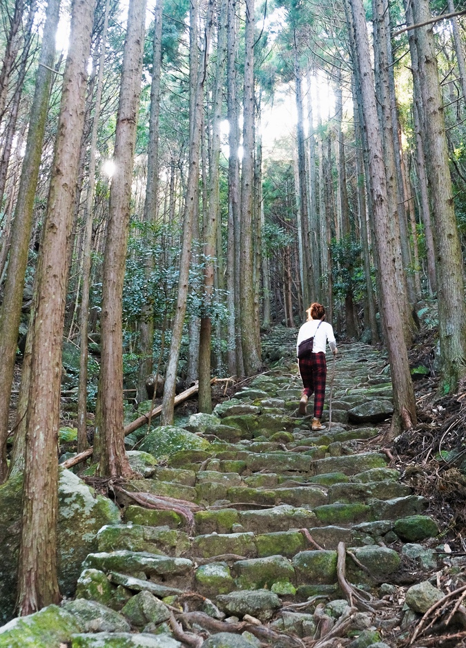 熊野古道