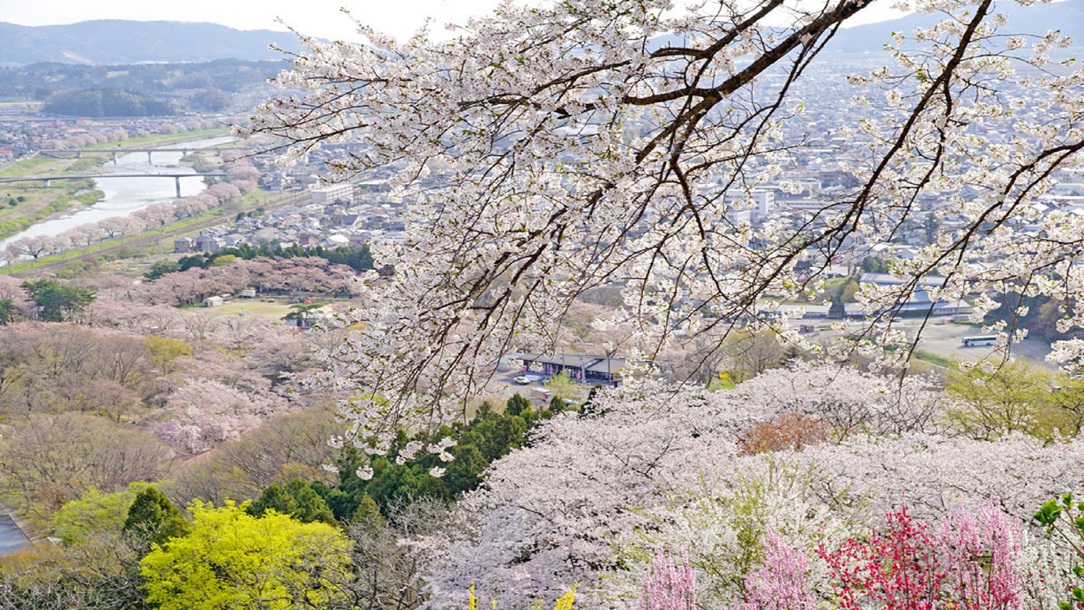 日本さくら100選「白石川堤一目千本桜」「柴田船岡城址公園の桜」は当館より電車14分、車で25分