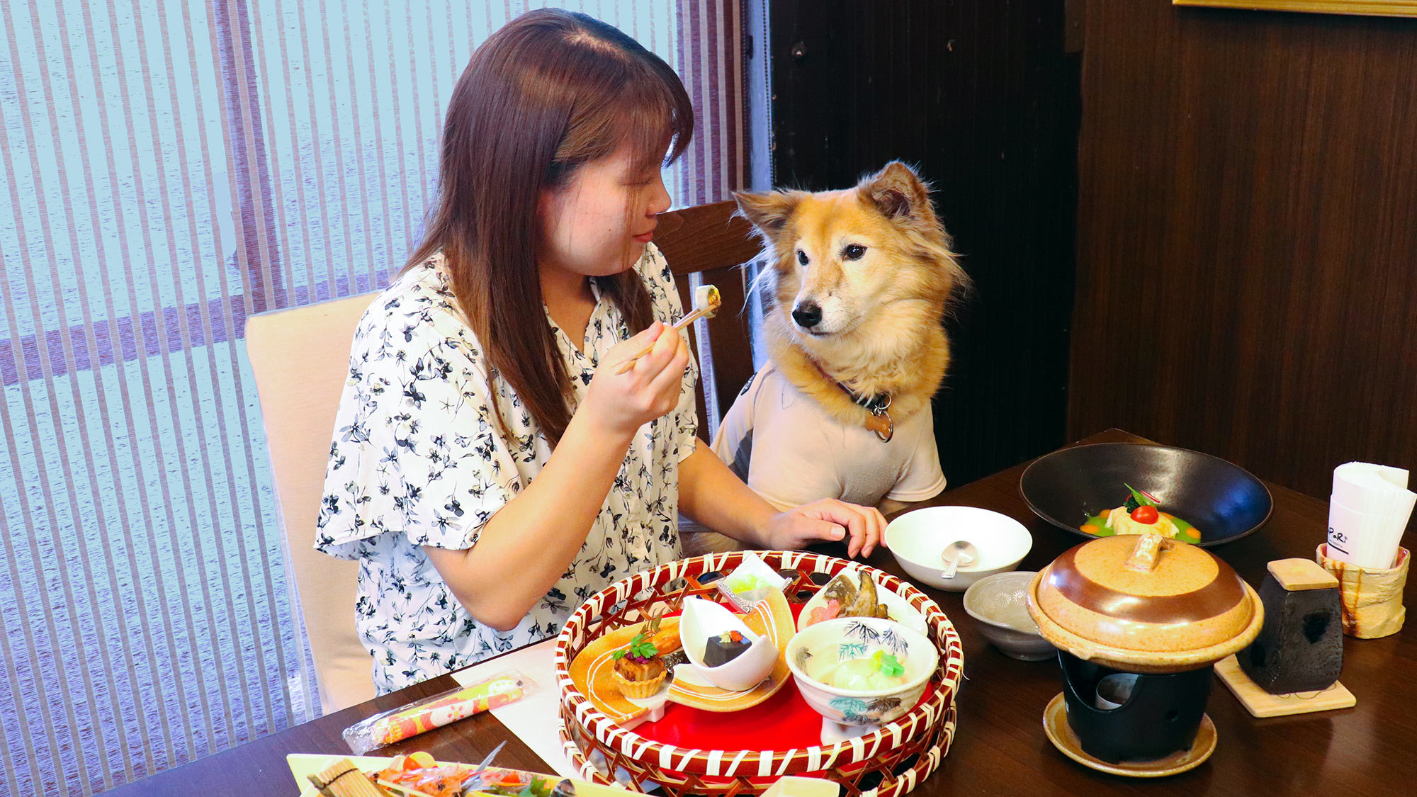 ・【籠御膳】お部屋食でご用意♪お食事の時間もずっとわんちゃんと一緒です