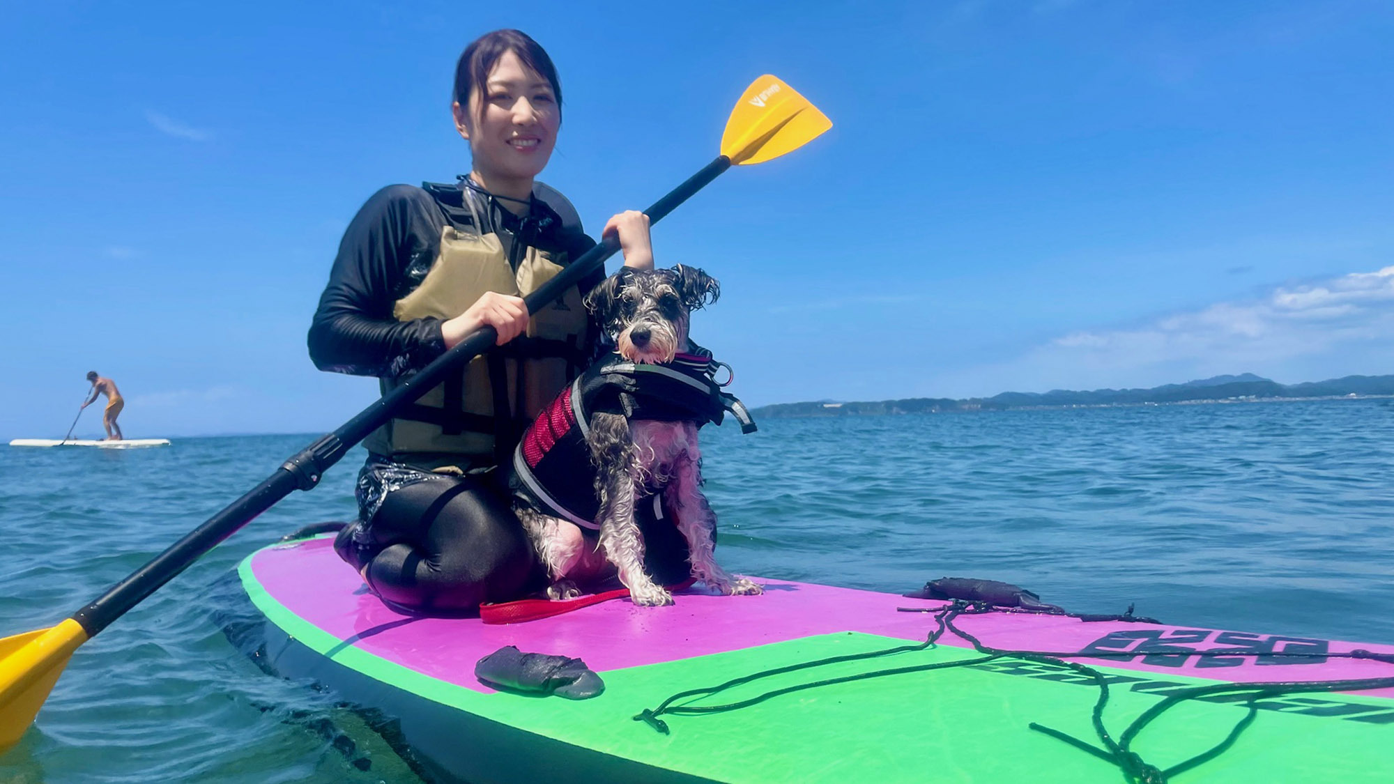 ・【Dog SUP(有料）】SUPボードは小型犬が乗るとかなり余裕があります