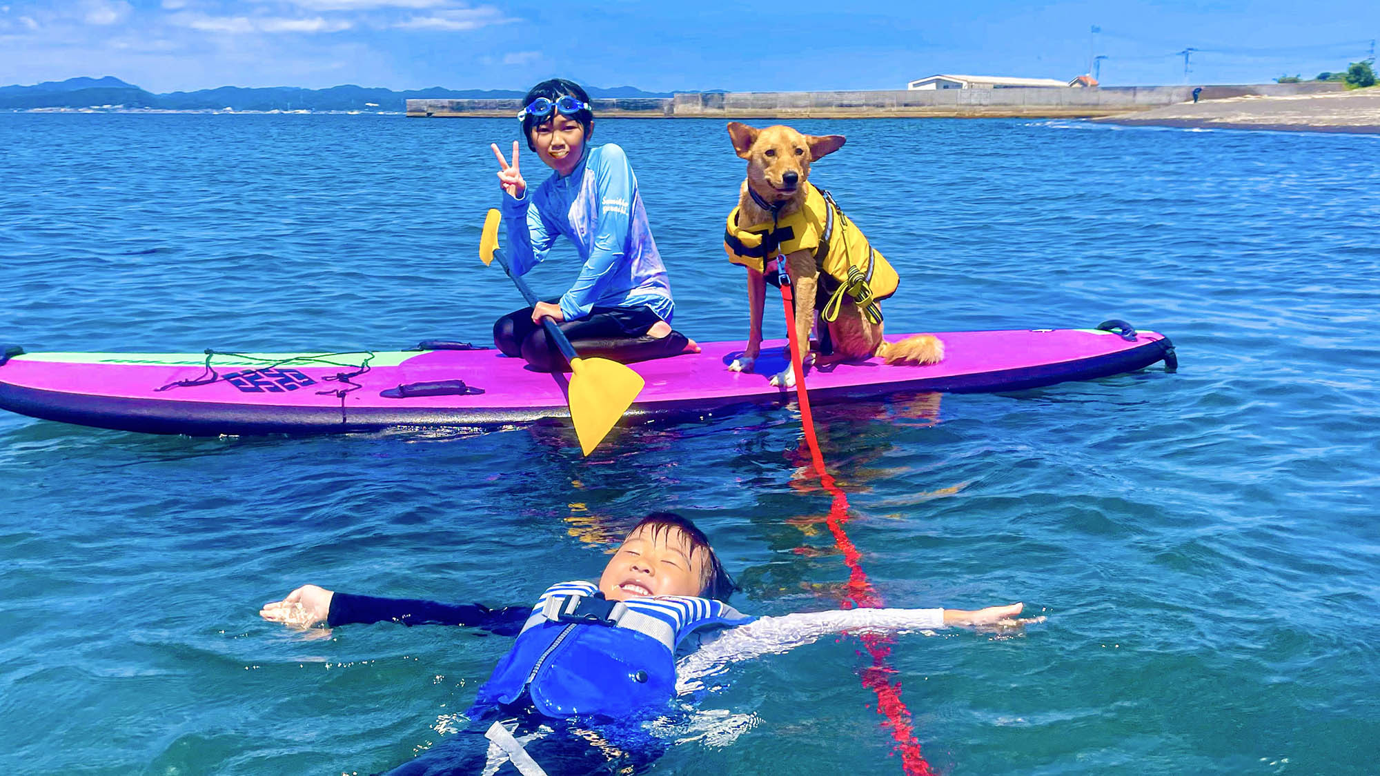 ・【Dog SUP(有料）】ご家族で愛犬との最高の思い出を！