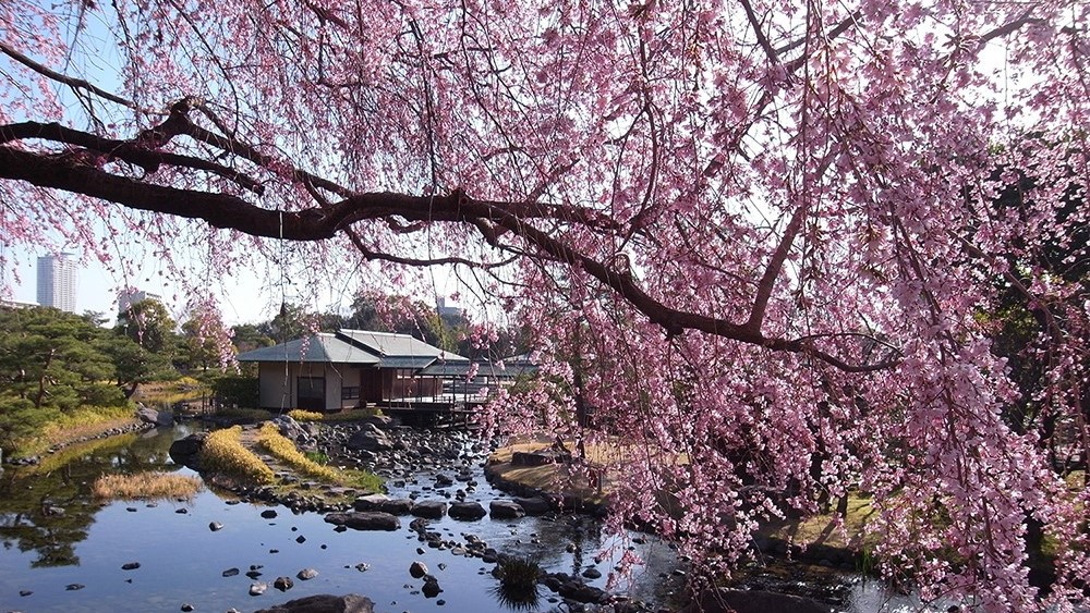 白鳥庭園