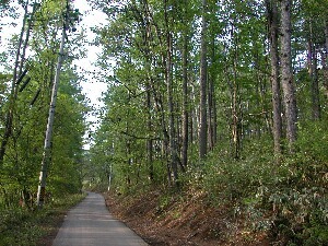 蓼科湖を少し離れた別荘への道