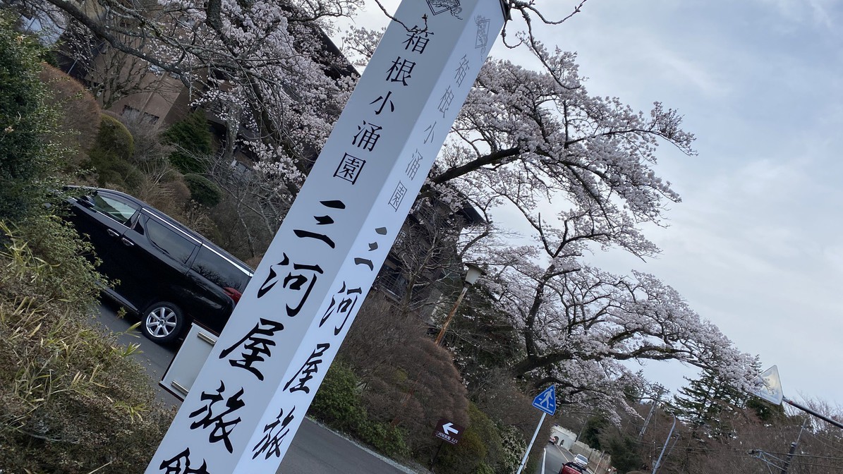 【春】桜