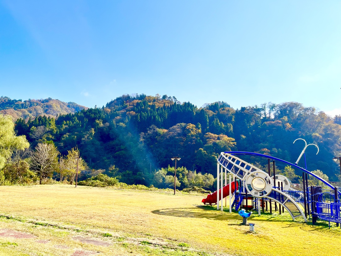敷地内の公園にあるくじらのアスレチック