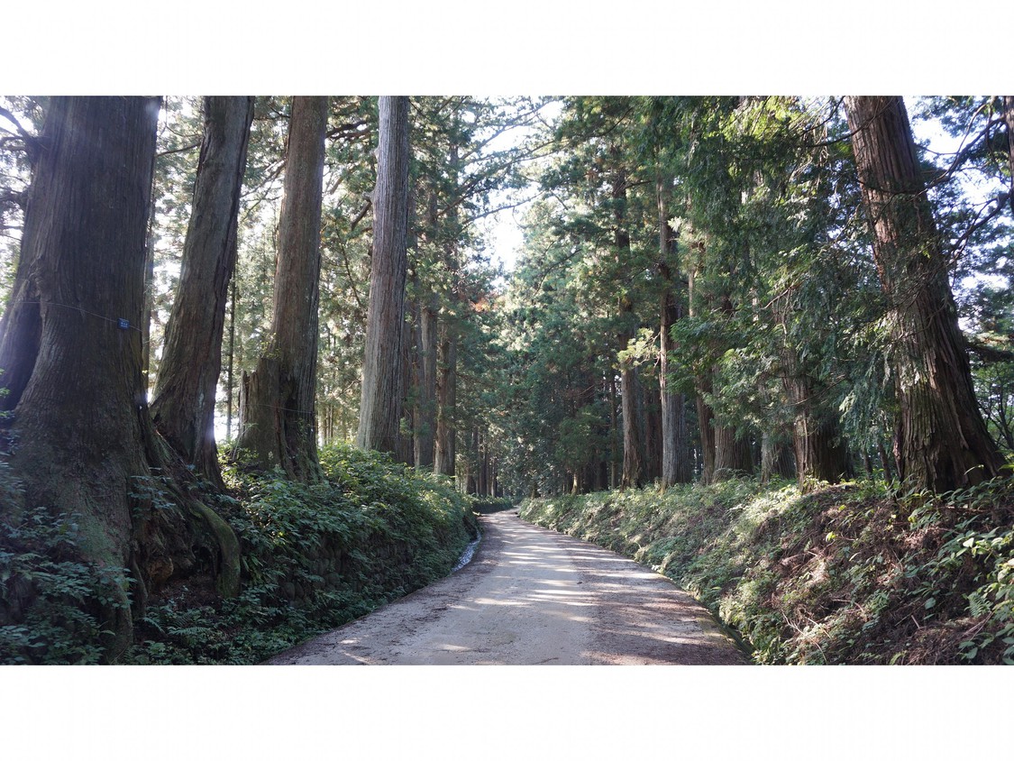 日光杉並木世界最長の並木道としてギネスブックにも登録されています徒歩1分