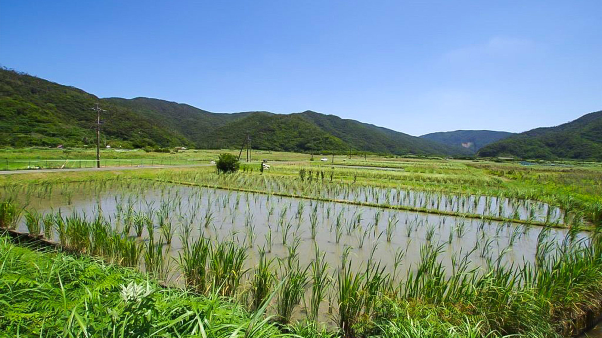 ・【一棟貸切／どぅぬ家】周辺の風景