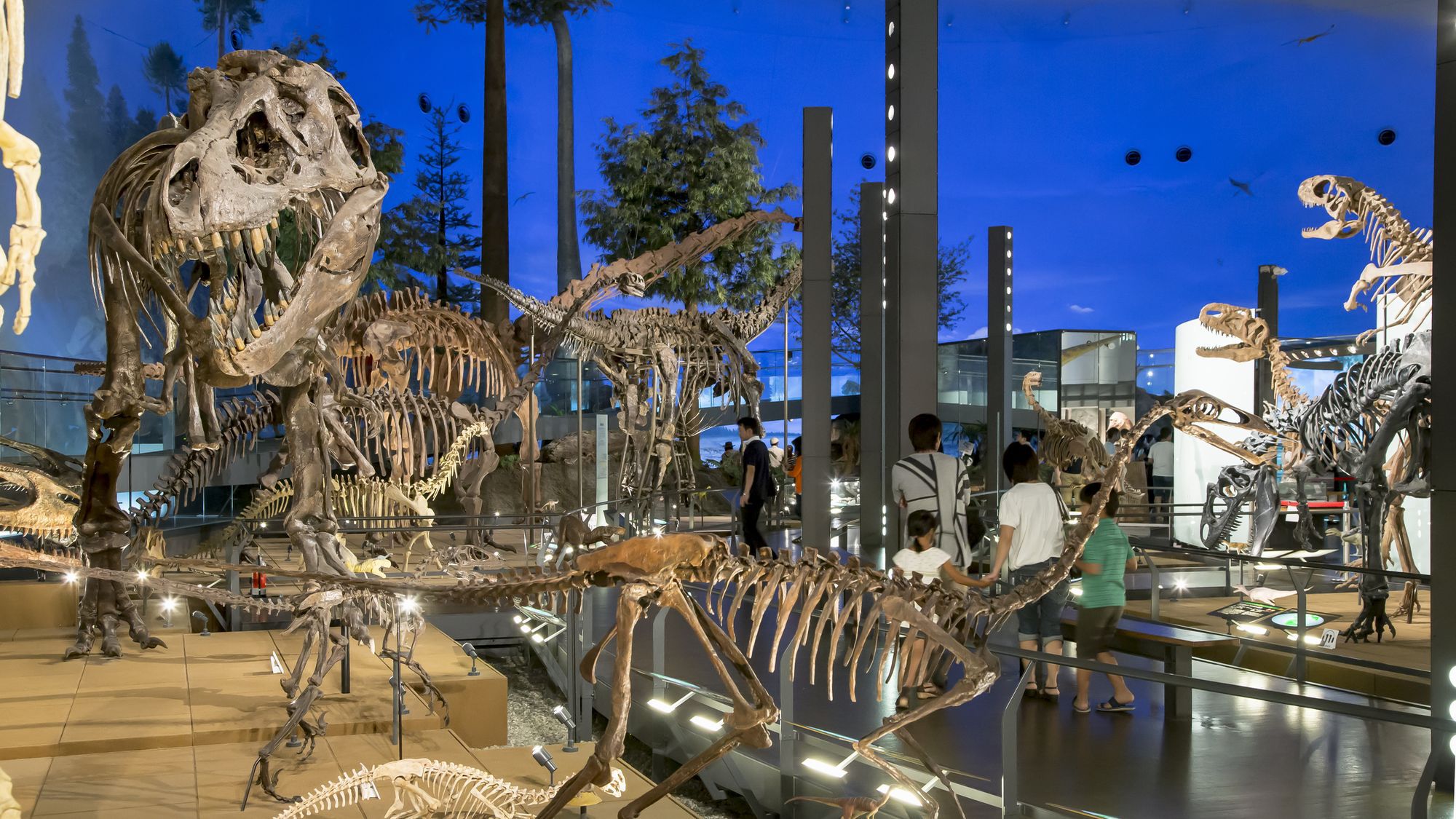 【恐竜博物館】恐竜王国福井を象徴する「福井県恐竜博物館」 