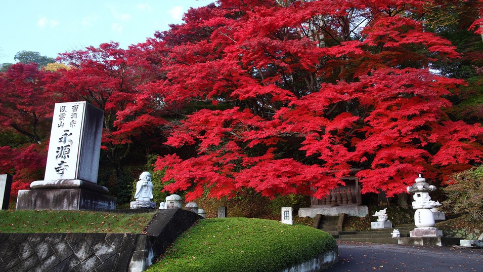 もみじ寺永源寺！紅葉の時期に行くべしスポット！