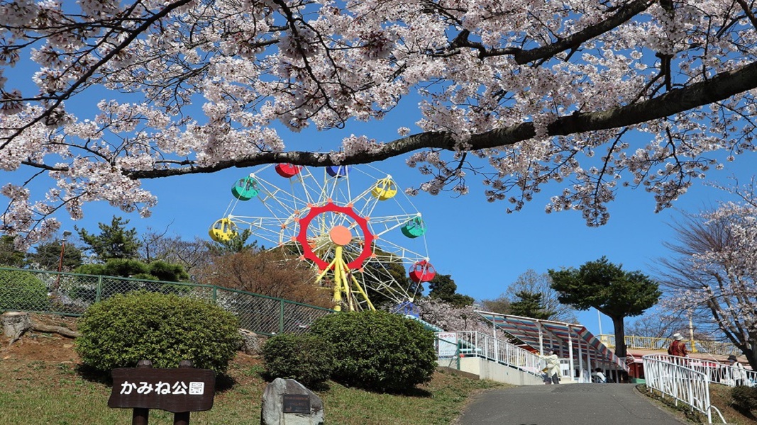 大人も子供も楽しめる！日立かみね公園！