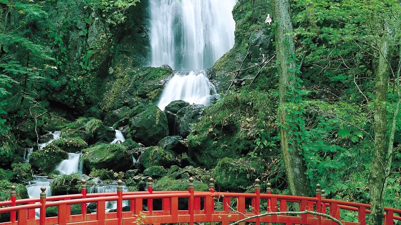 【観光紹介】不動の滝 桜松公園（当館から車の30分）