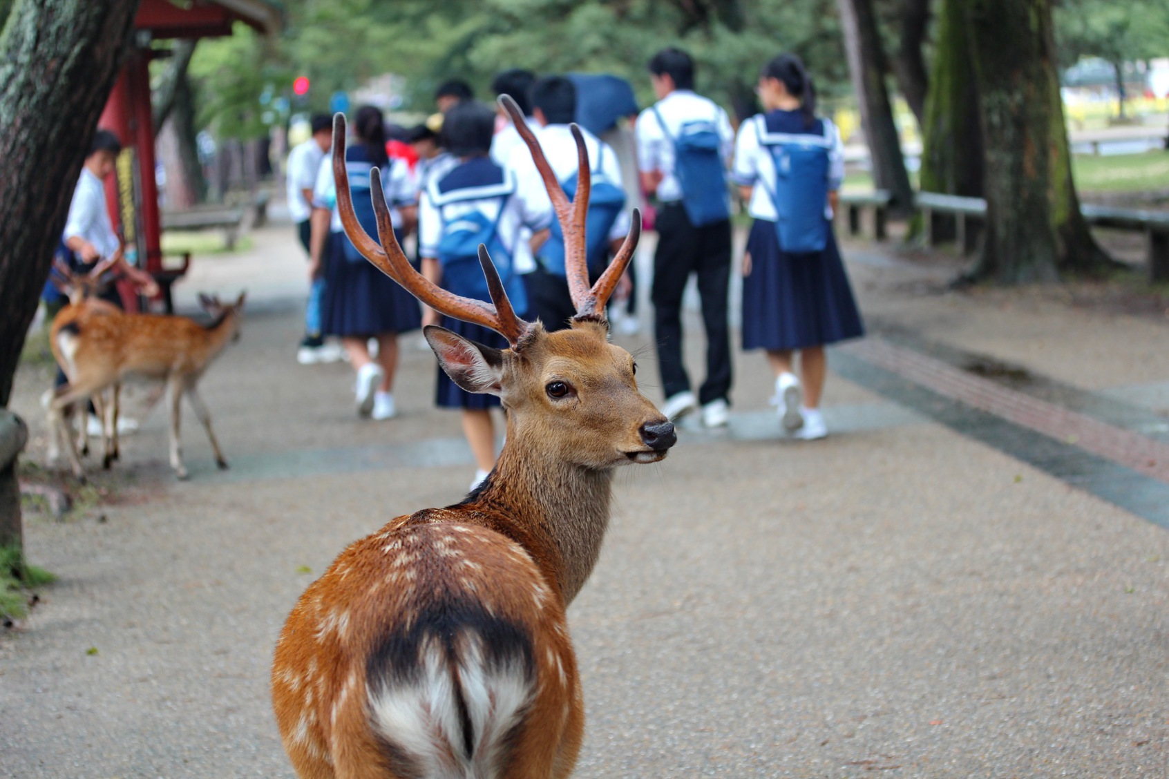 観光名所