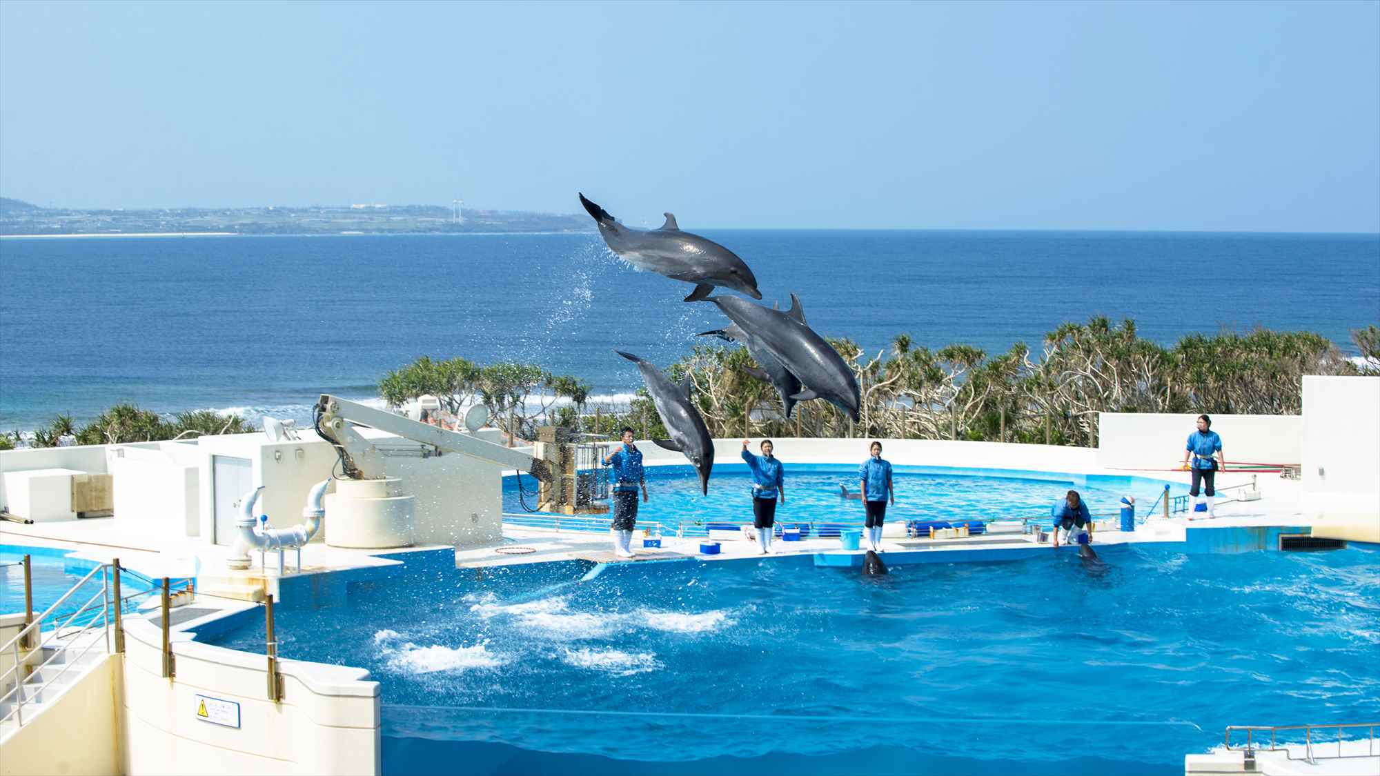 沖縄を代表する人気スポット「美ら海水族館」車で3分程