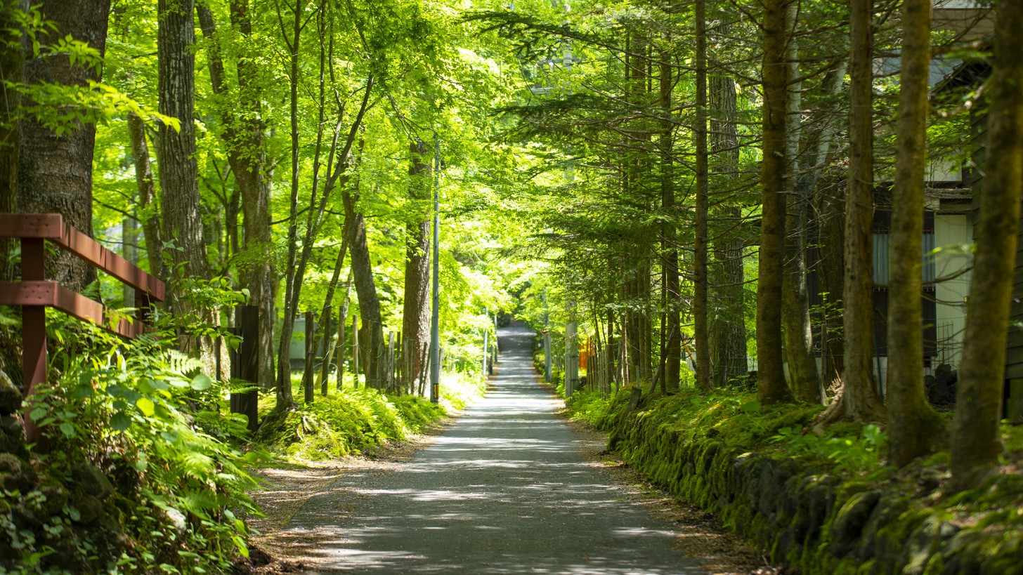軽井沢の小径