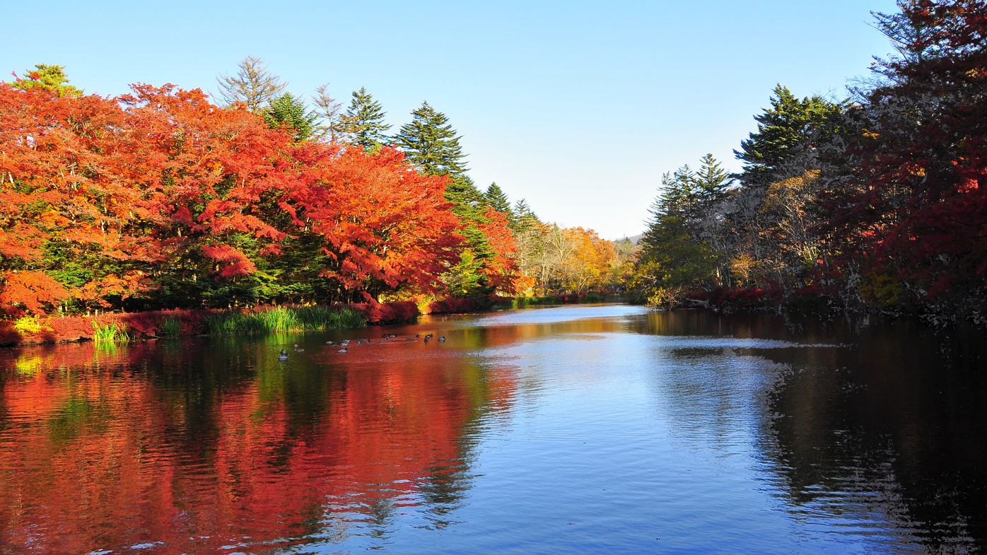 紅葉の雲場池
