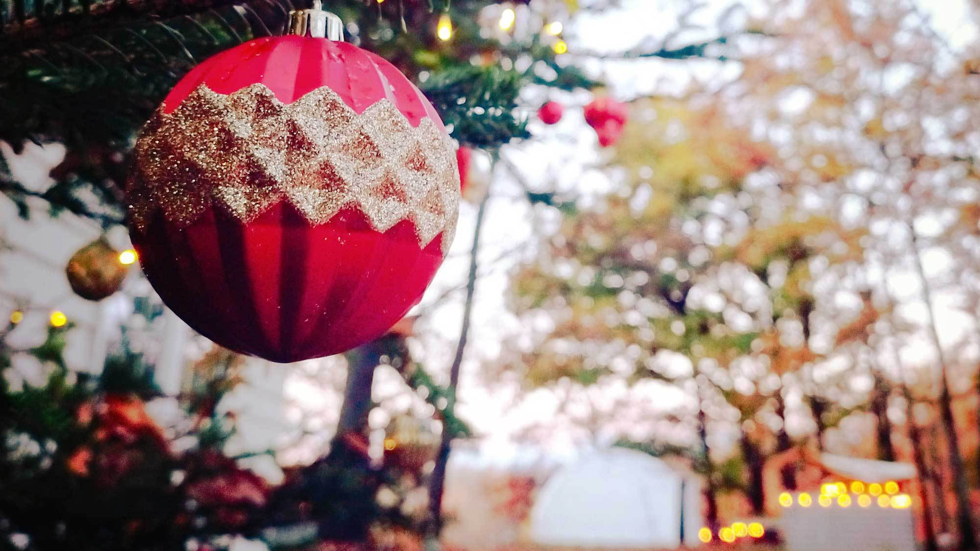 【シーズン】クリスマスの雰囲気に気分もワクワク