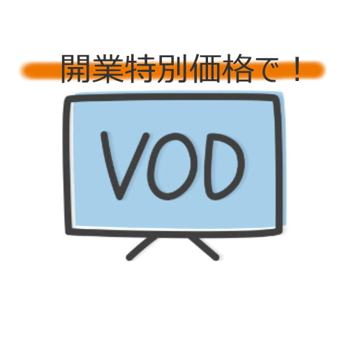 ＶＯＤプラン