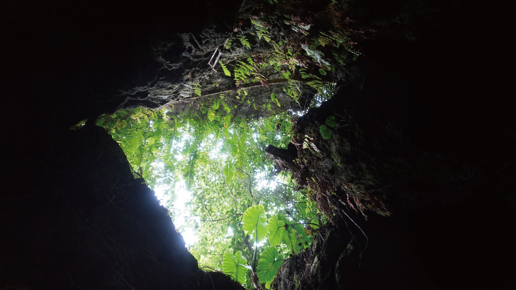 周辺観光？CAVE-OKINAWA(ケイブオキナワ)