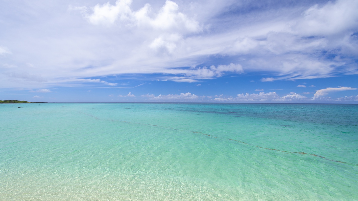  【沖縄の海】世界にほこれる美しい海には数百種のサンゴが住み色鮮やかな熱帯魚が群れをなして泳ぐ。