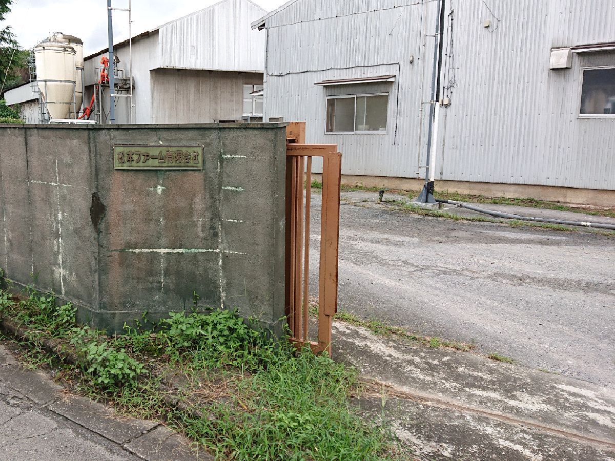 埼玉県熊谷松本ファームの彩のたまごをご用意します。卵黄は太陽の輝き