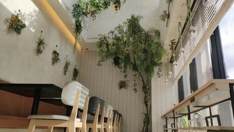 緑で癒されるラウンジ