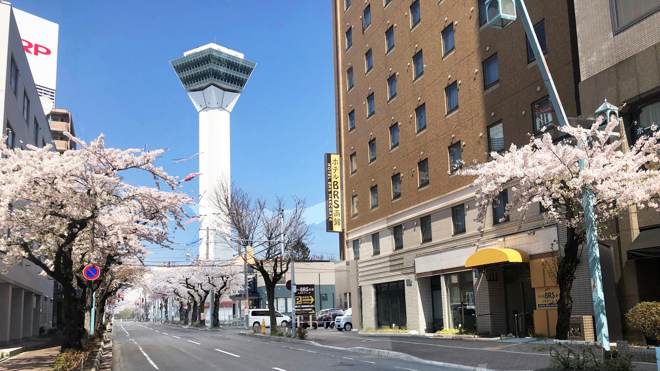 春_外観1