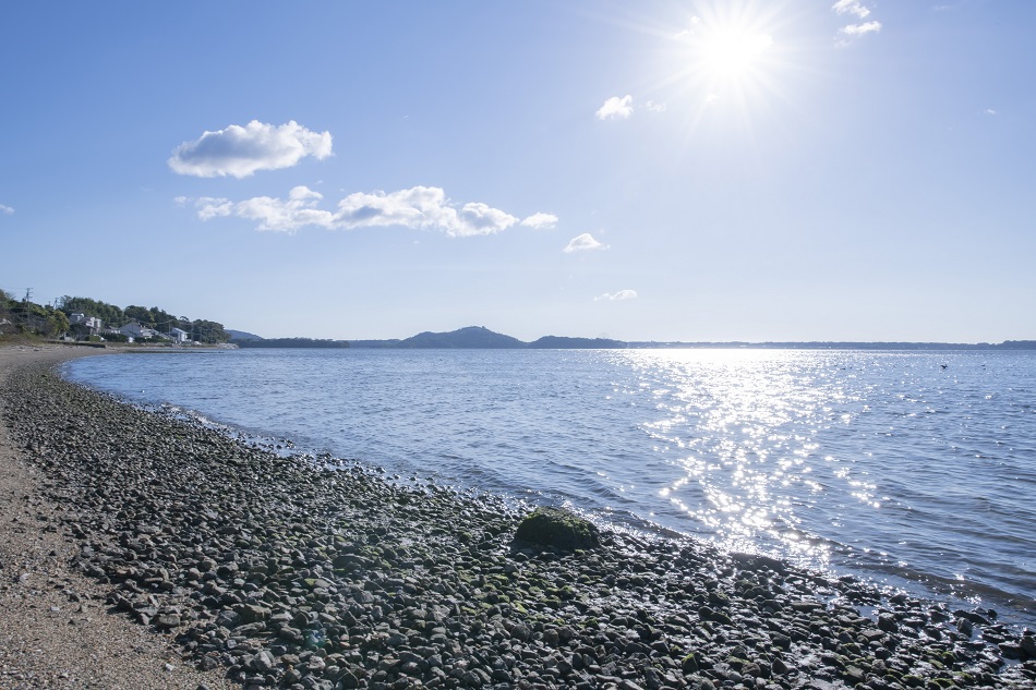 【浜名湖】ドッグランから竹林の回廊を抜けると浜名湖畔をお散歩頂けます。