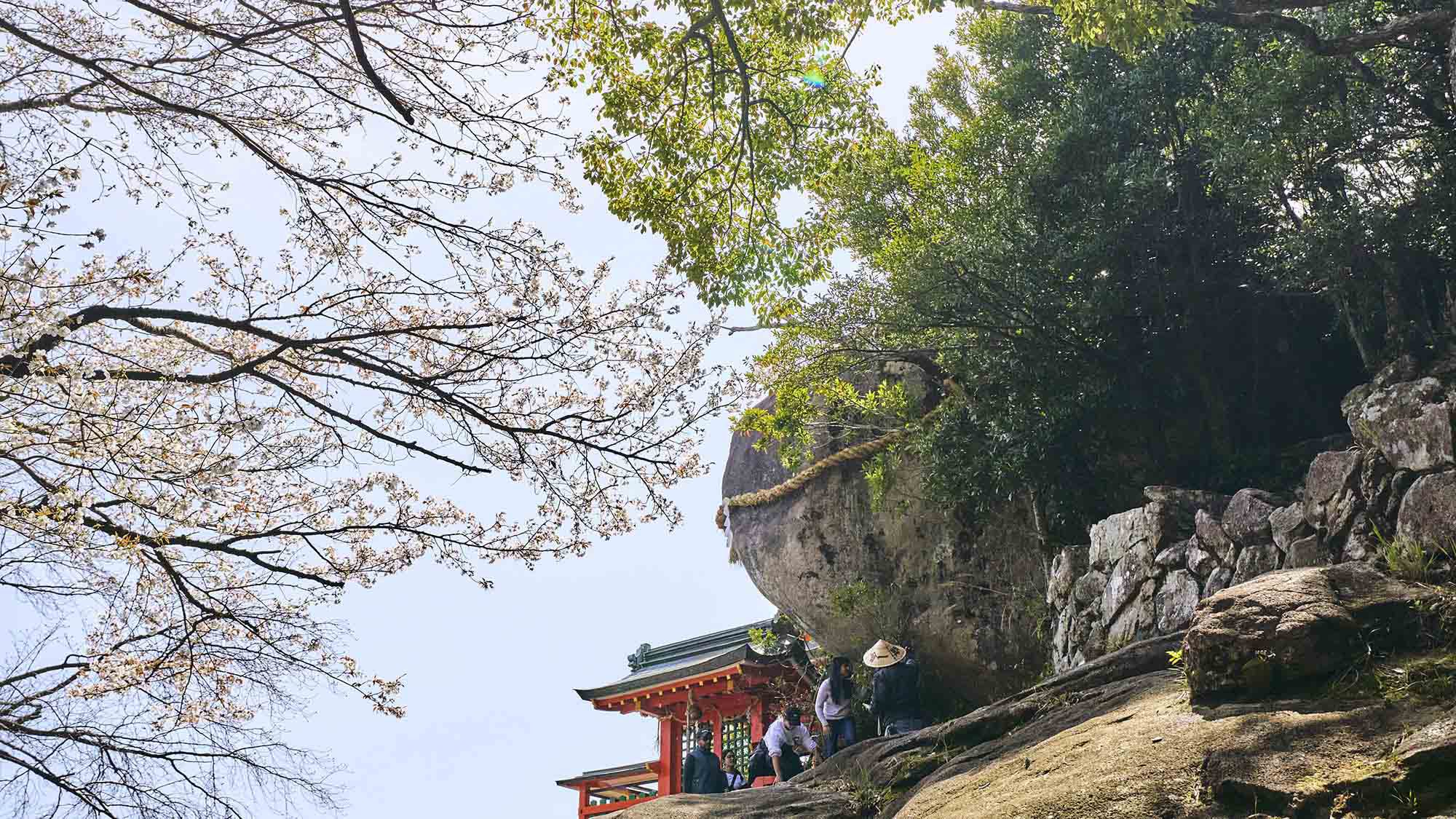 ・【周辺】＜神倉神社＞五百段を超える石段を登ると社殿が見えてきます