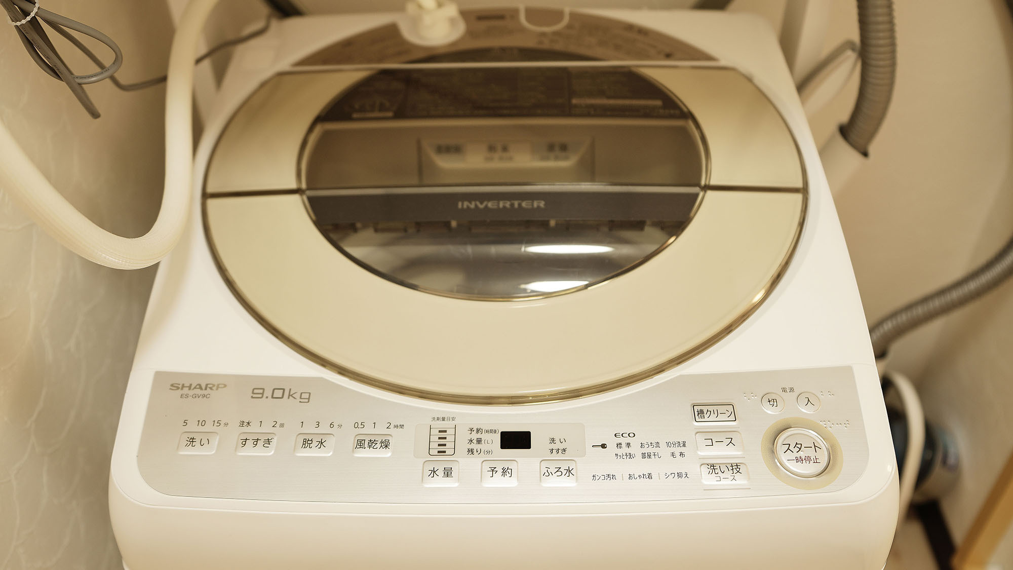 ・101号室：他の利用者を気にせず使える専用洗濯機です！