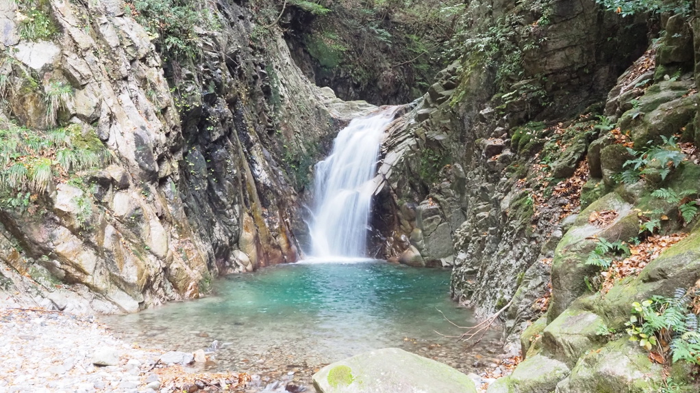 【竜ヶ岳】鈴鹿山脈の中央部に位置する標高1099mの山（当館から車で42分）