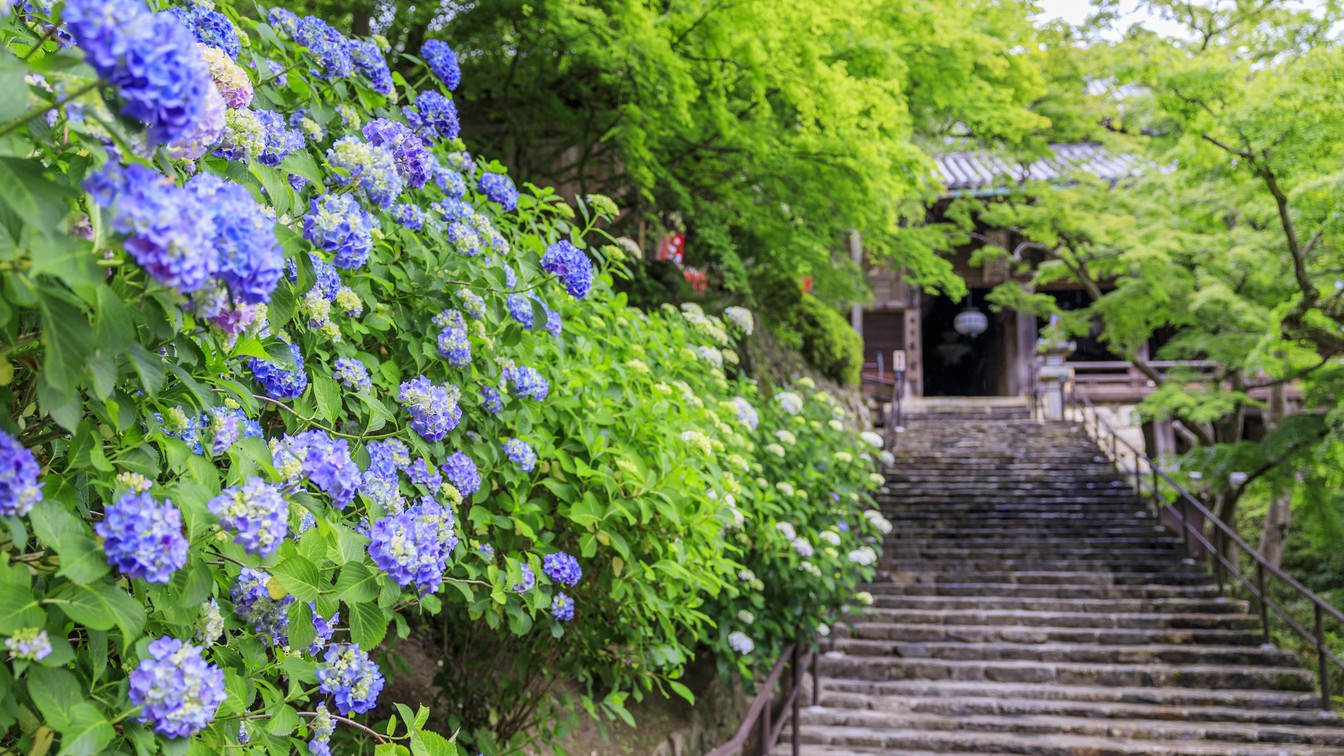 長谷寺