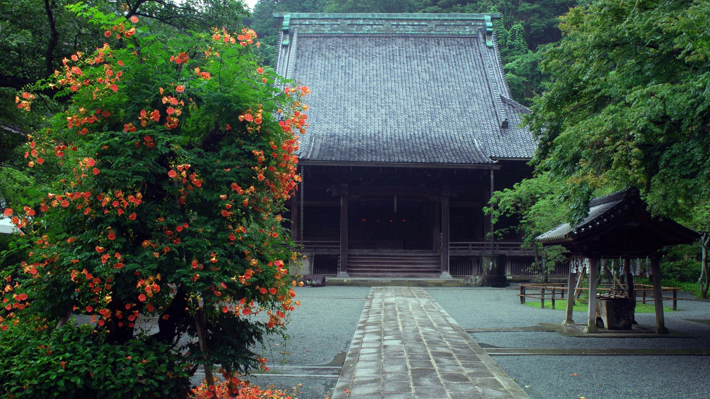 妙本寺