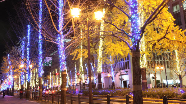 御堂筋イルミネーション(公財)大阪観光局