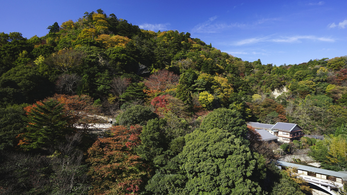 最上階ロイヤルスイート「天空の露天風呂」からの景色。四季折々の絶景をお楽しみいただけます。