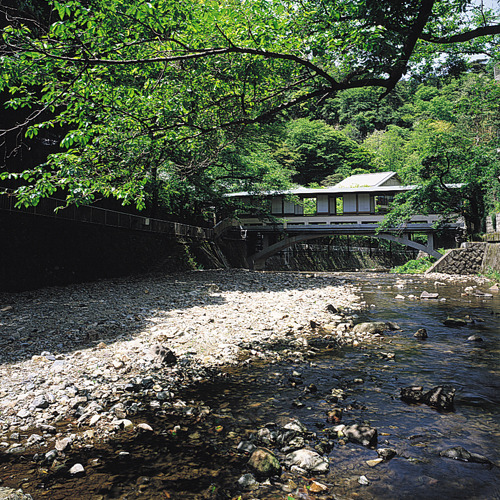 【絶景の宿】夏の新緑夏は一面、鮮やかな緑を魅せてくれます。カニなどの自然の生き物も訪れる季節です。
