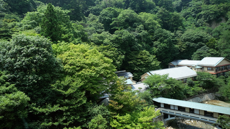 和室からの眺め秋の紅葉や夏の新緑が美しい、有馬三山の一つである「落葉山」。眼下は「滝川」の清流も。