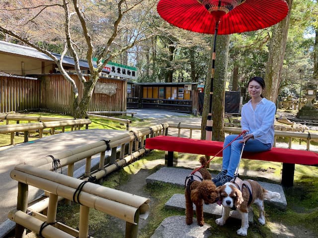ワンちゃんと奈良公園散策（春日荷茶屋）