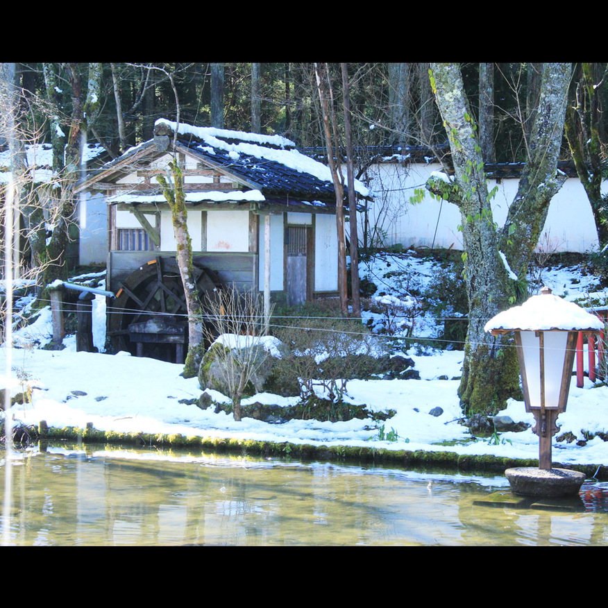 庭風景〜冬〜