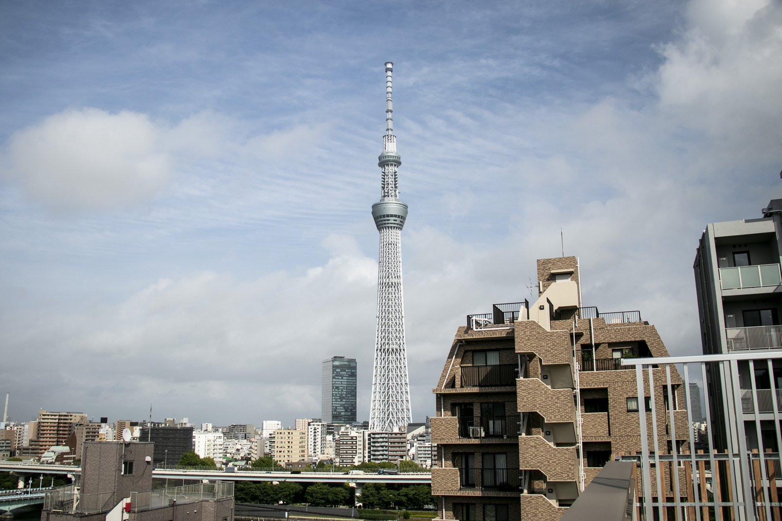 施設からの眺望東京スカイツリー1