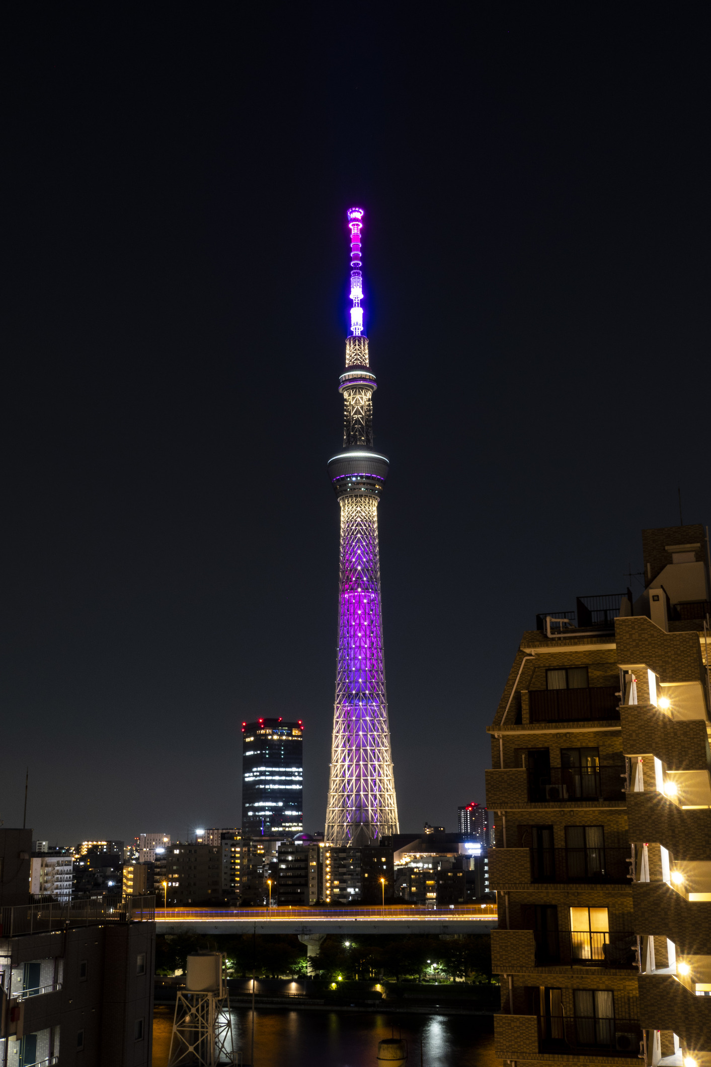 施設からの眺望東京スカイツリー（夜間）